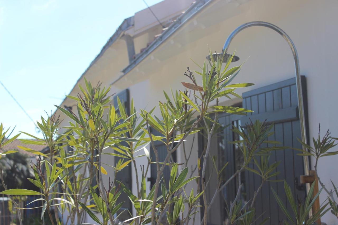Maison 8 Personnes A 100 M De La Plage De La Clere Le Grand Vieil 外观 照片